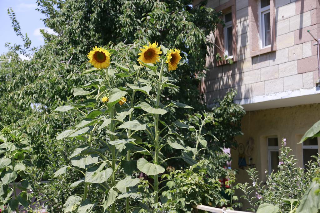 Garden Of Cappadocia Lägenhet Üçhisar Exteriör bild